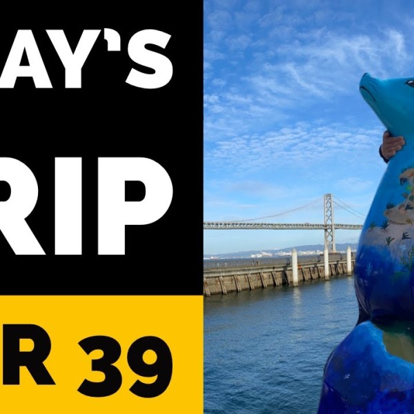 San Francisco Must Visit Pier 39