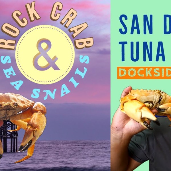 San Diego's Tuna Dockside Market: Cooking Up Rock Crabs & Sea Snails!