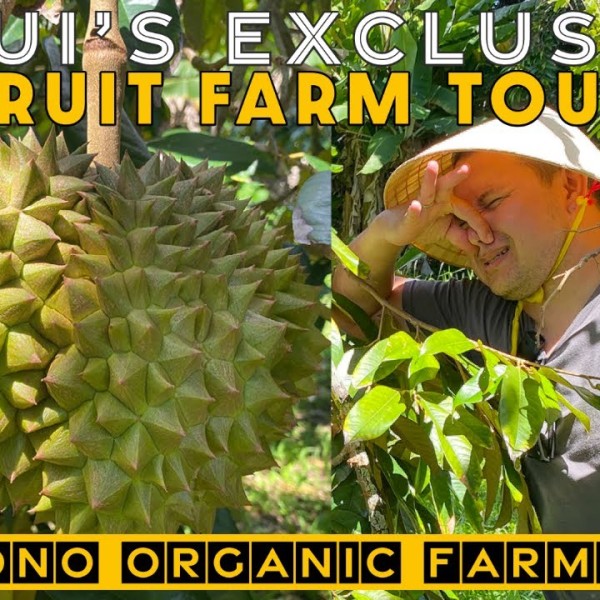 Maui's Best Private Exotic Fruit Tour | Ono Organic Farms | Gordon Ramsey's Experience