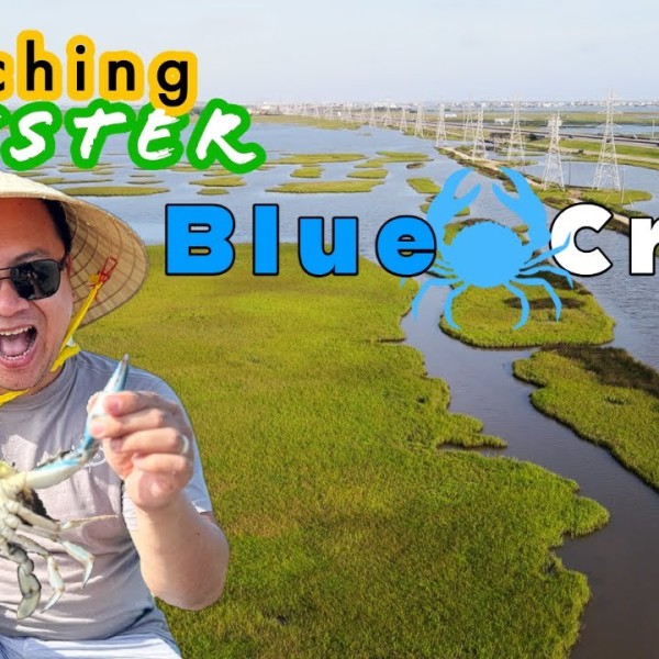 Catching Monster Blue Crabs | Epic Crabbing Adventure In Houston, Texas